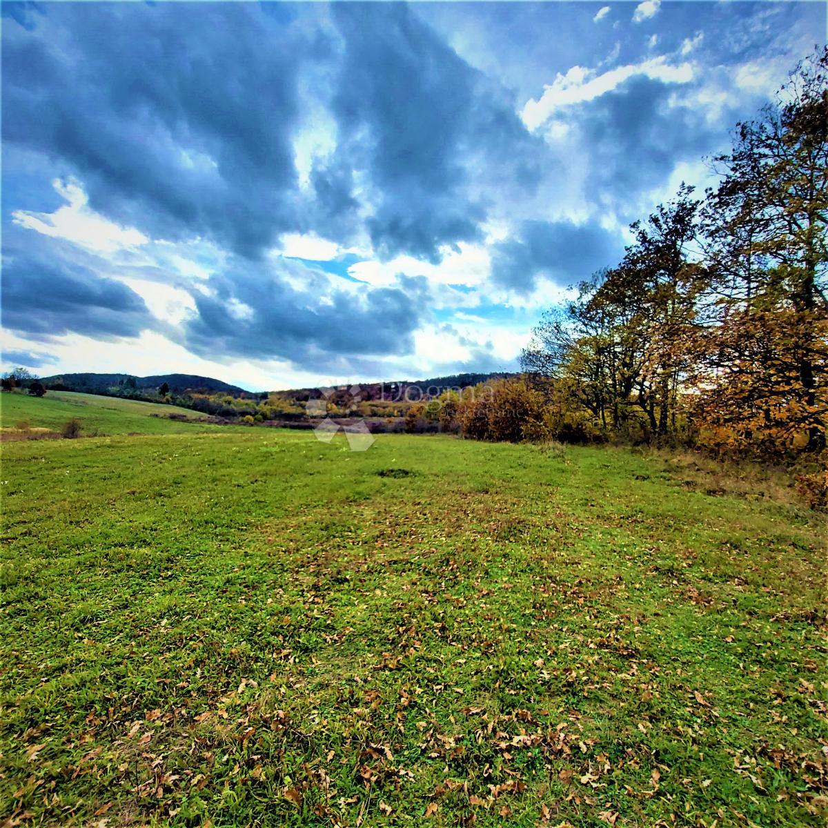 Kmetijsko zemljišče Kestenovac, Donji Lapac, 43.702m2