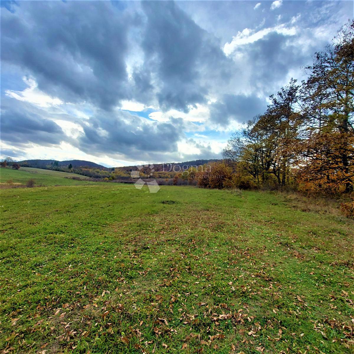 Kmetijsko zemljišče Kestenovac, Donji Lapac, 43.702m2