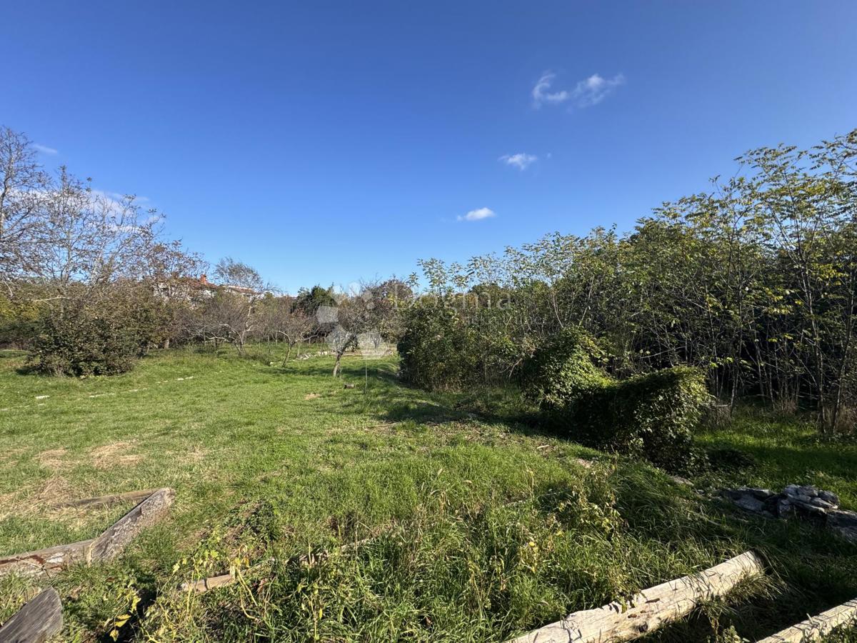 Hiša Srdoči, Rijeka, 243m2