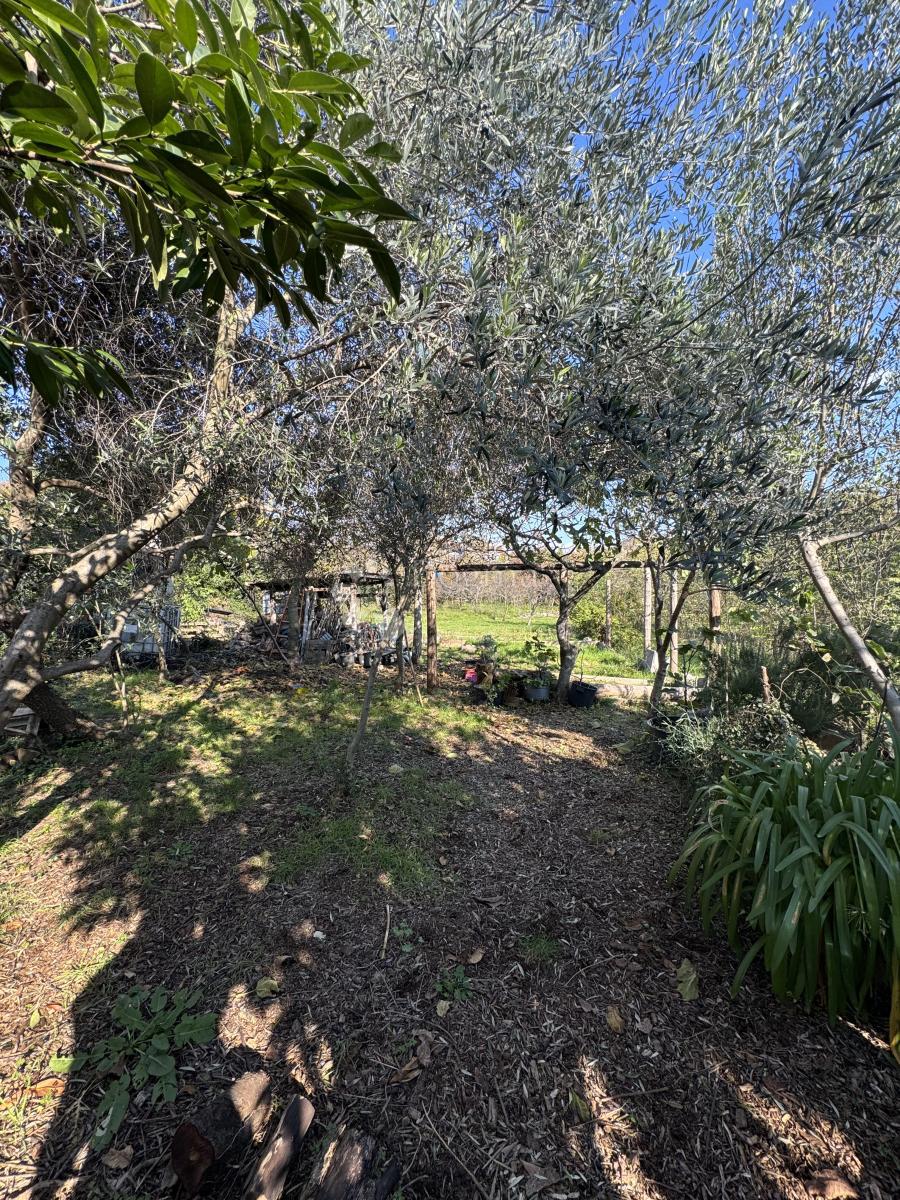 Hiša Srdoči, Rijeka, 243m2