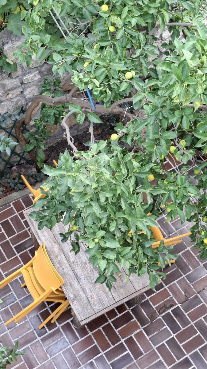 Hiša Mali Lošinj, 187,92m2