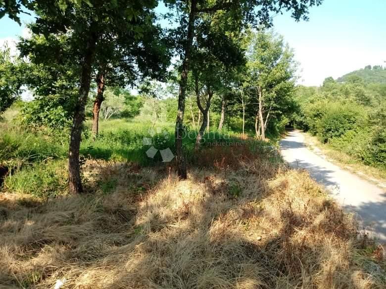 Zazidljivo zemljišče Sovinjak, Buzet, 762m2