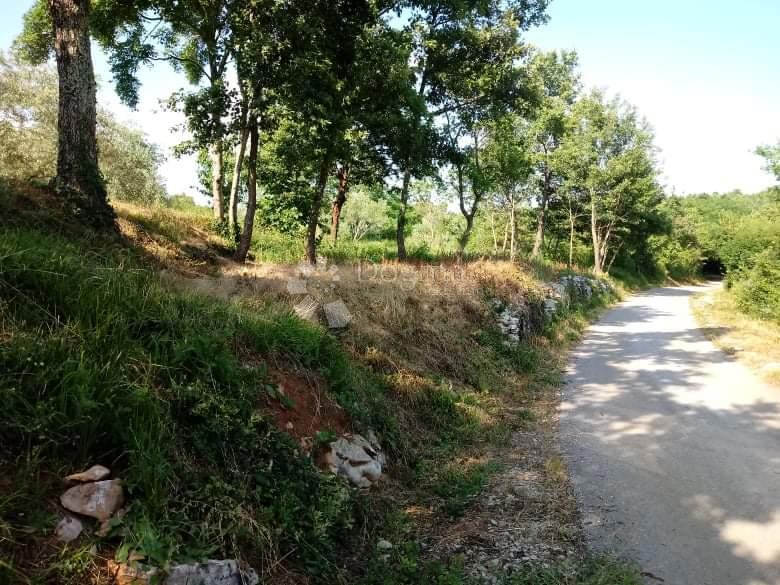 Zazidljivo zemljišče Sovinjak, Buzet, 762m2