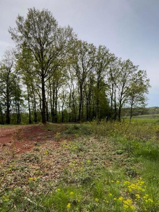 Zazidljivo zemljišče Barban, 1.010m2