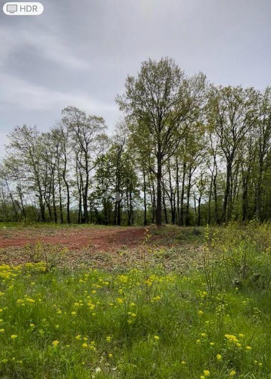 Zazidljivo zemljišče Barban, 1.010m2