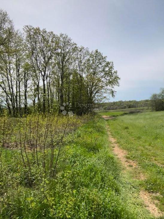 Zazidljivo zemljišče Barban, 1.010m2