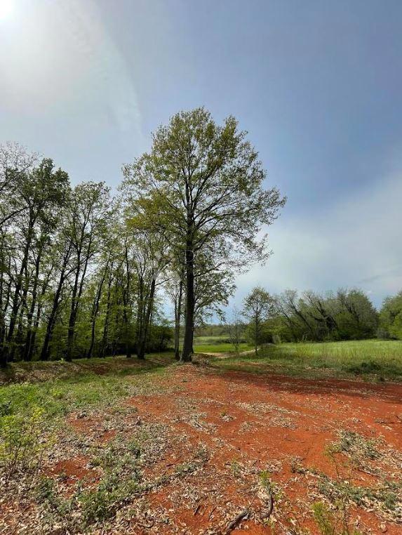 Zazidljivo zemljišče Barban, 1.010m2