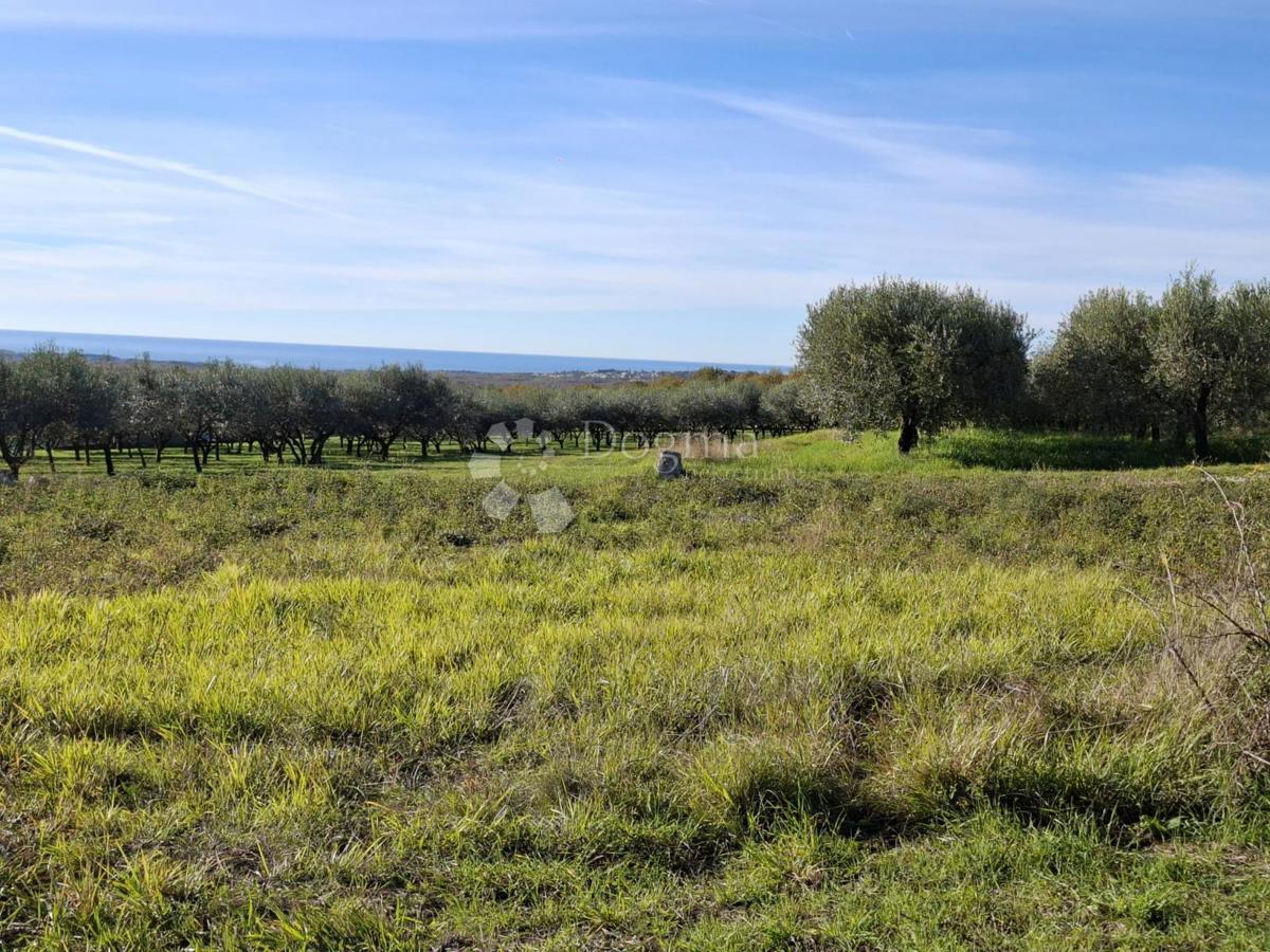 Zazidljivo zemljišče Poreč, 751m2