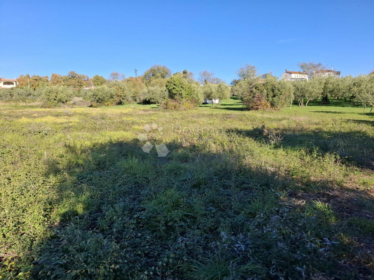 Zazidljivo zemljišče Poreč, 751m2