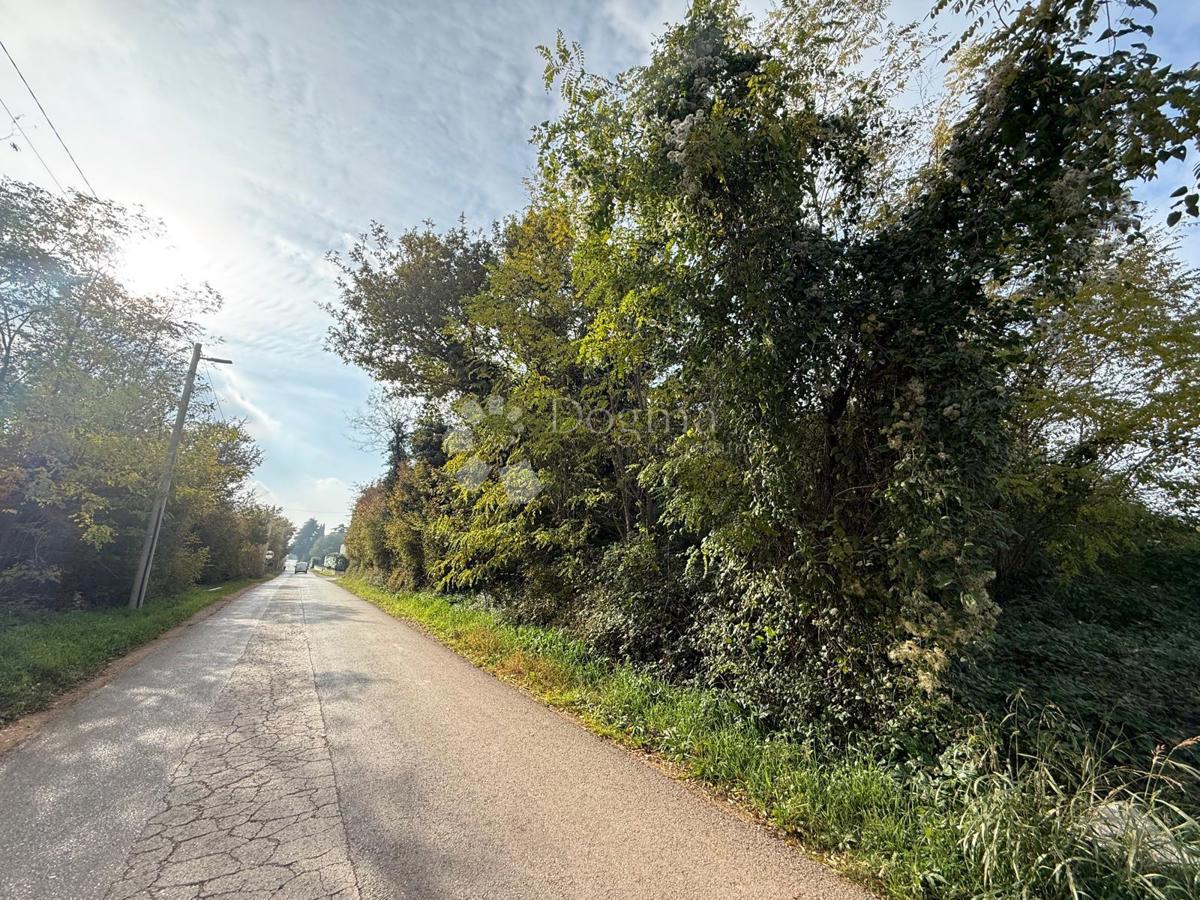 Zazidljivo zemljišče Poreč, 4.310m2