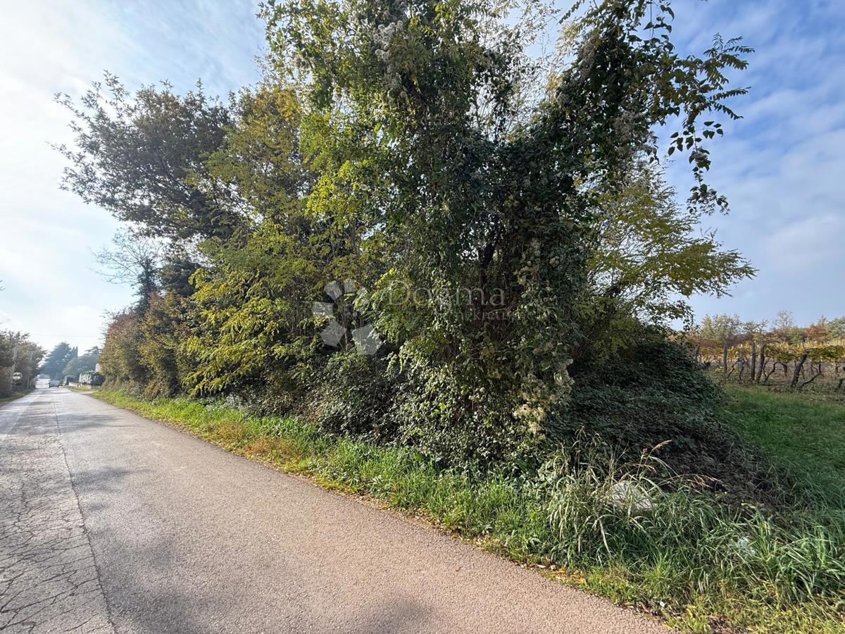 Zazidljivo zemljišče Poreč, 4.310m2