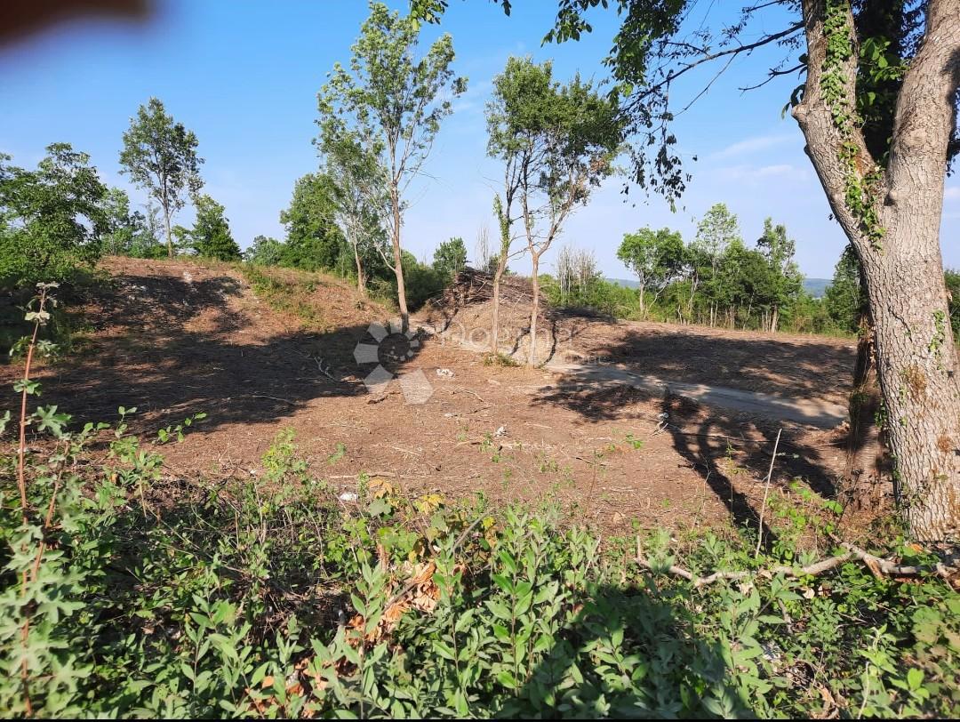 Zazidljivo zemljišče Stara Kršlja, Rakovica, 20.077m2