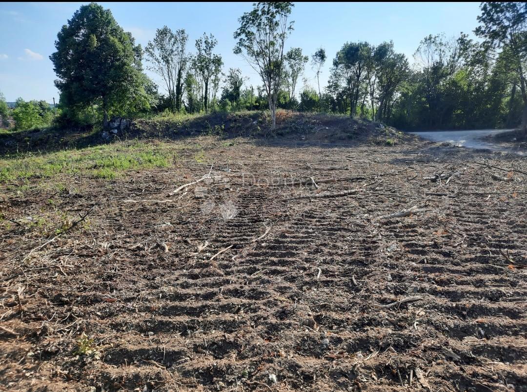 Zazidljivo zemljišče Stara Kršlja, Rakovica, 20.077m2