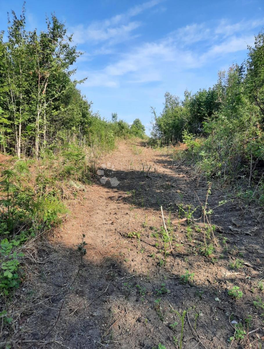 Zazidljivo zemljišče Stara Kršlja, Rakovica, 20.077m2