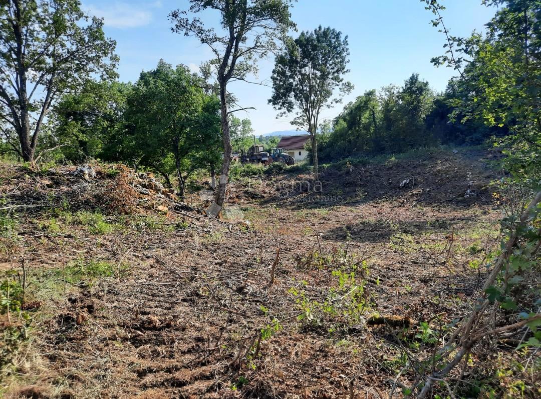 Zazidljivo zemljišče Stara Kršlja, Rakovica, 20.077m2