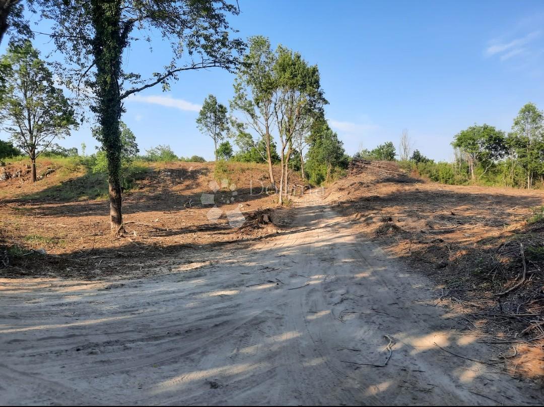 Zazidljivo zemljišče Stara Kršlja, Rakovica, 20.077m2