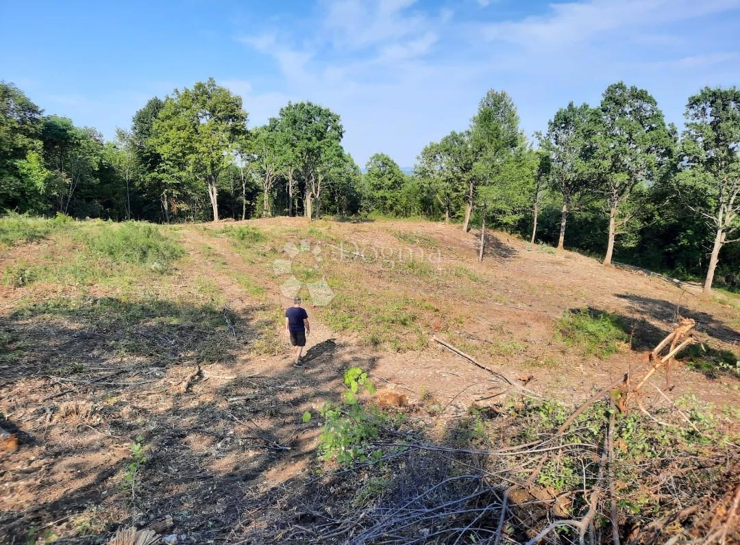 Zazidljivo zemljišče Stara Kršlja, Rakovica, 20.077m2