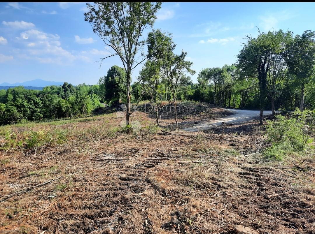 Zazidljivo zemljišče Stara Kršlja, Rakovica, 20.077m2