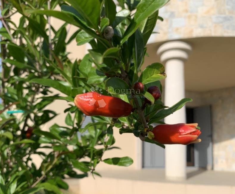 Hiša Biograd na Moru, 216m2