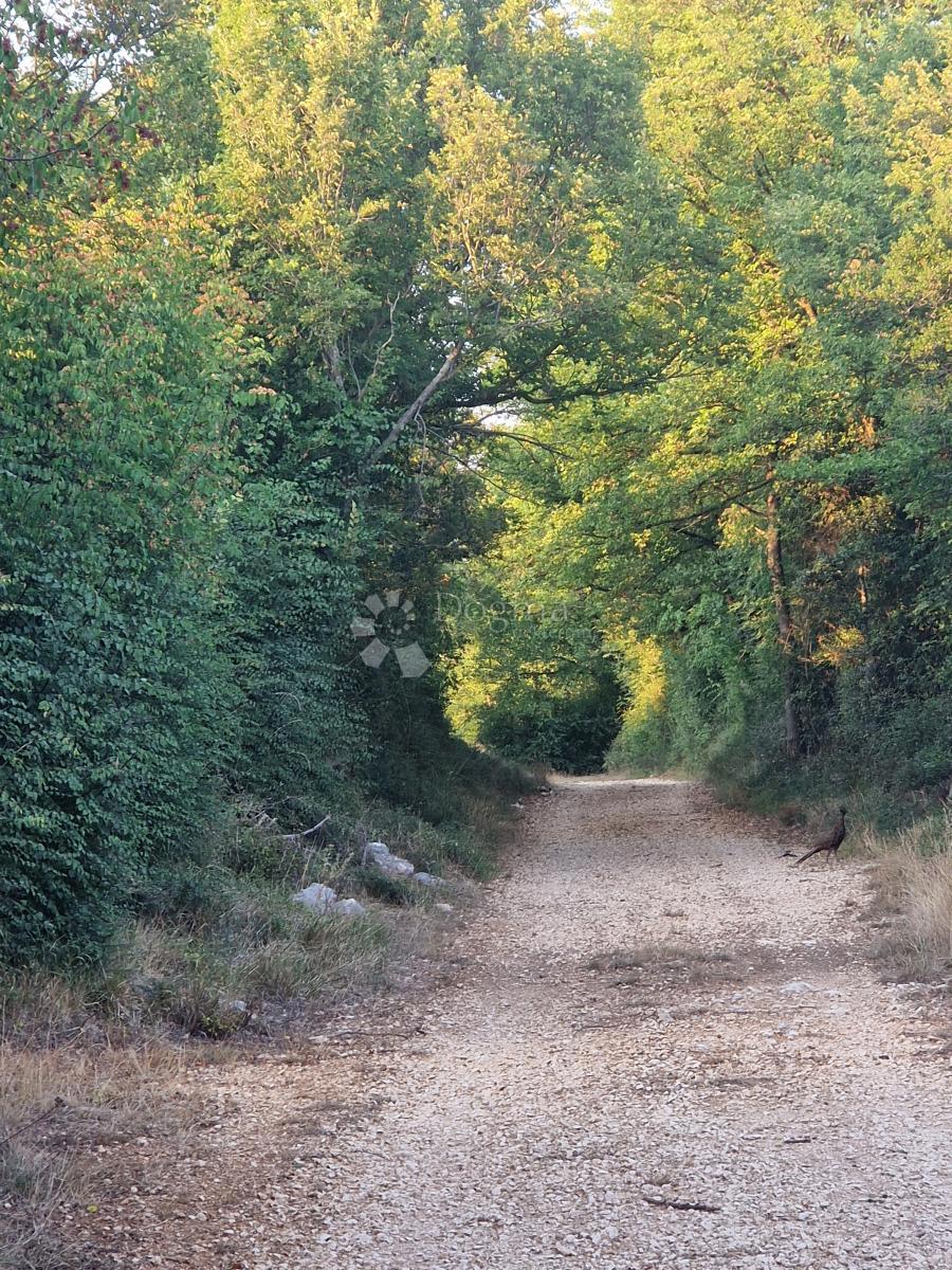 Kmetijsko zemljišče Glavica, Sukošan, 3.202m2
