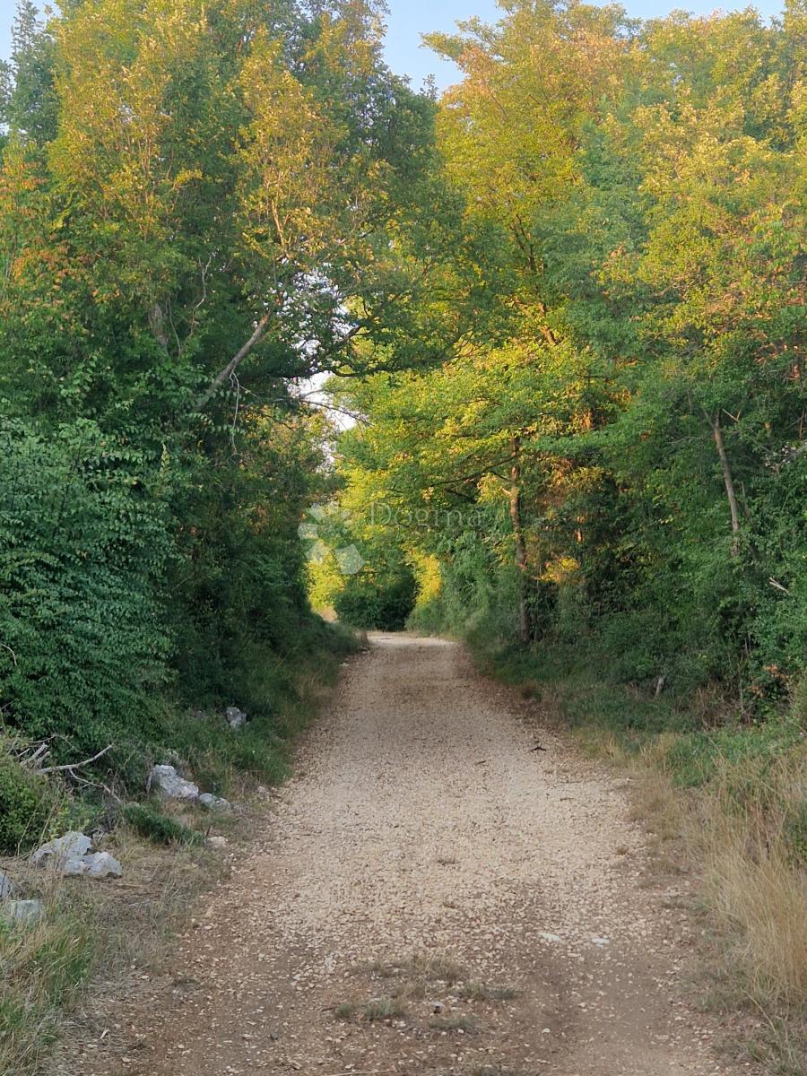 Kmetijsko zemljišče Glavica, Sukošan, 3.202m2