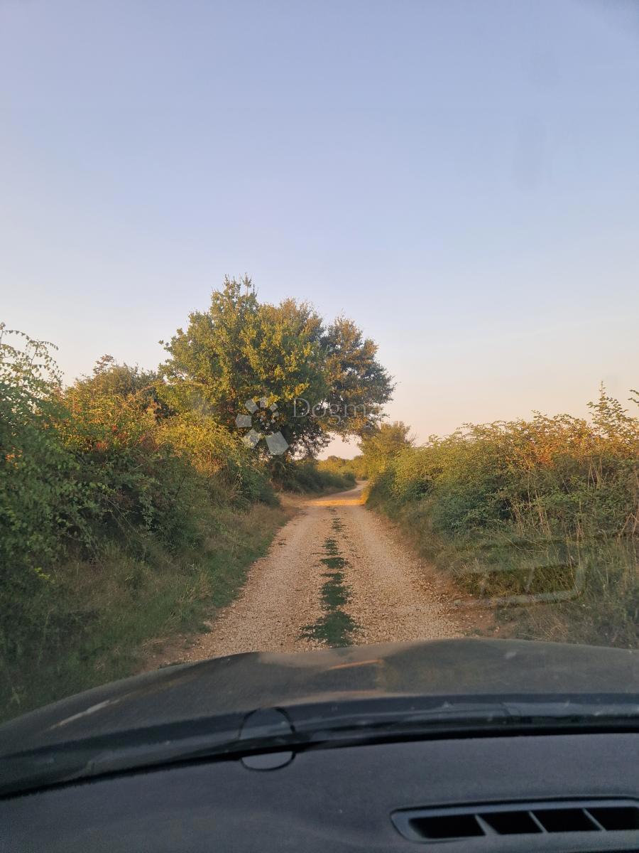 Kmetijsko zemljišče Glavica, Sukošan, 3.202m2