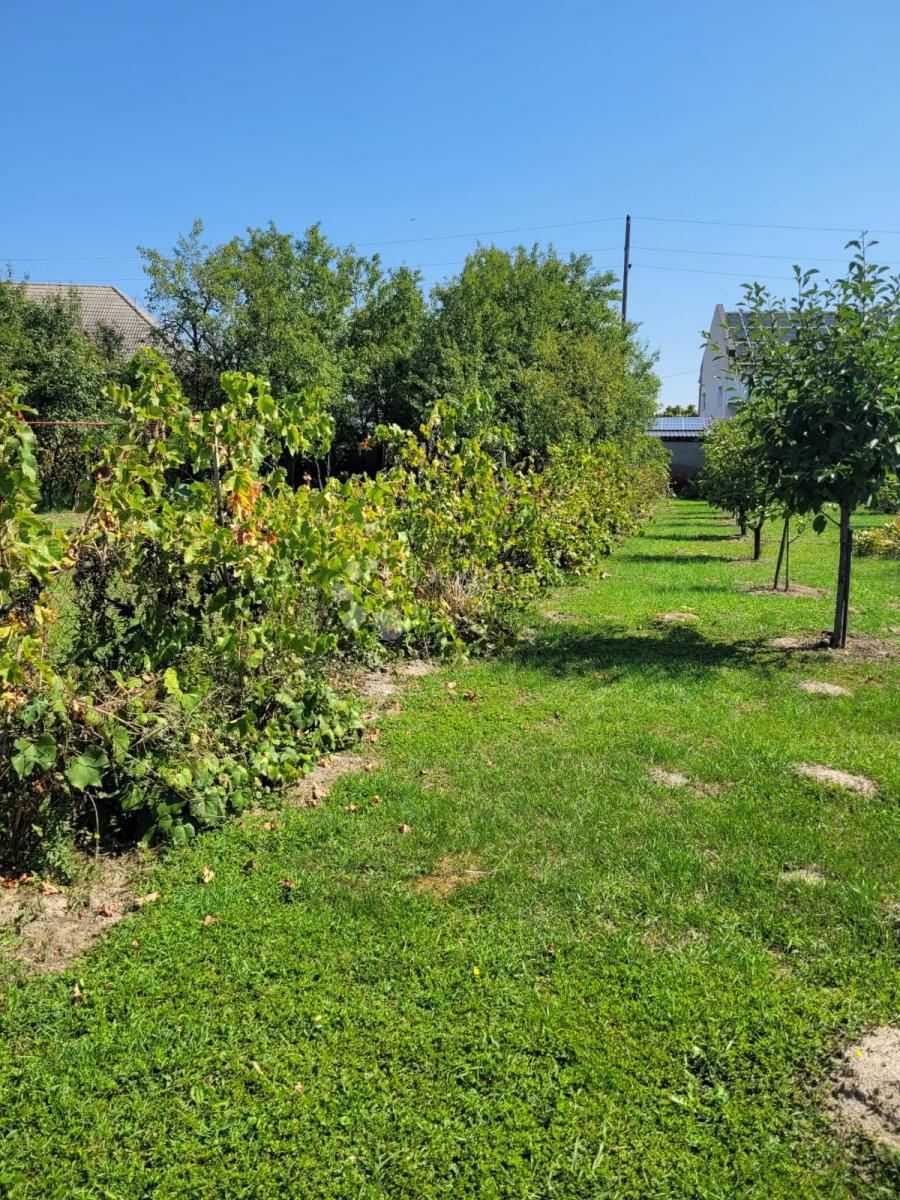 Hiša Brođanci, Bizovac, 179m2