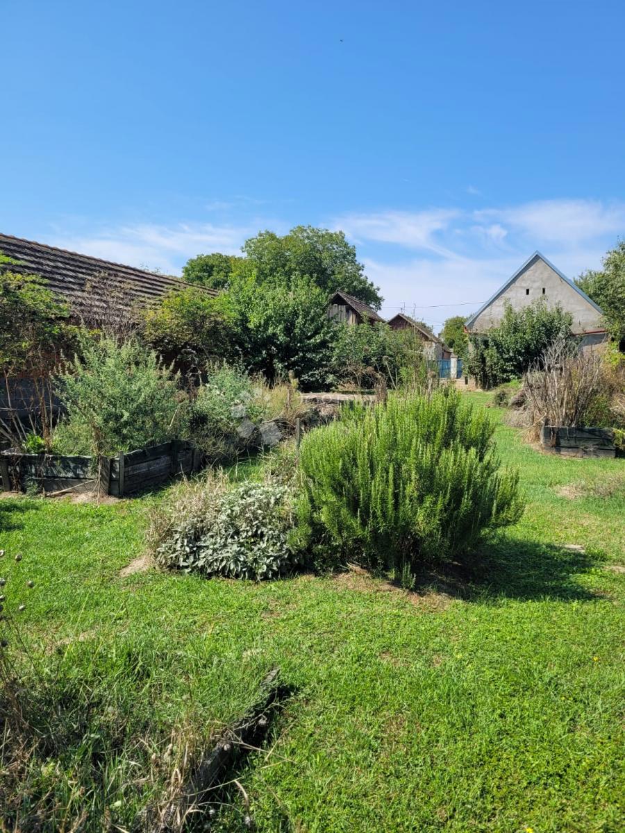 Hiša Brođanci, Bizovac, 179m2