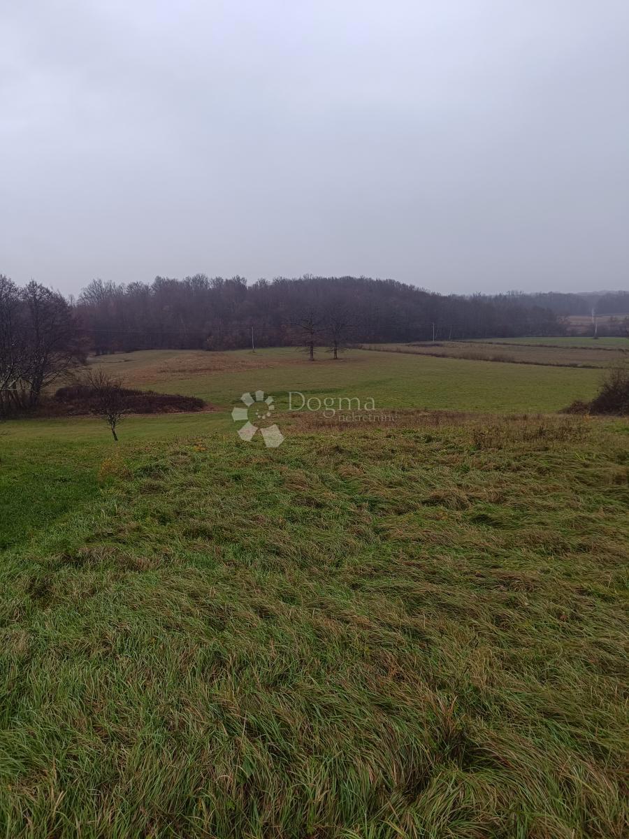 Kmetijsko zemljišče Bratina, Pisarovina, 8.250m2