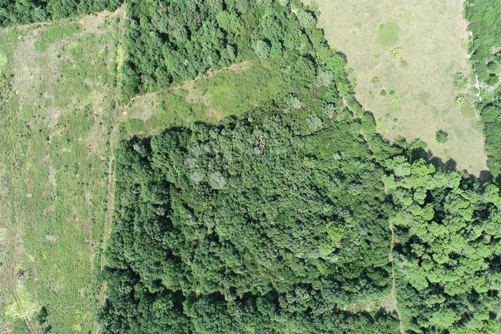 Zemljišče Ližnjan, 3.917m2