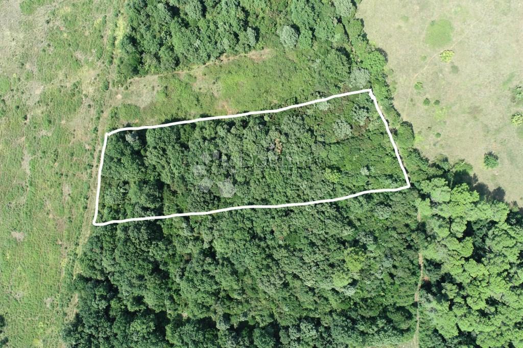 Zemljišče Ližnjan, 3.917m2