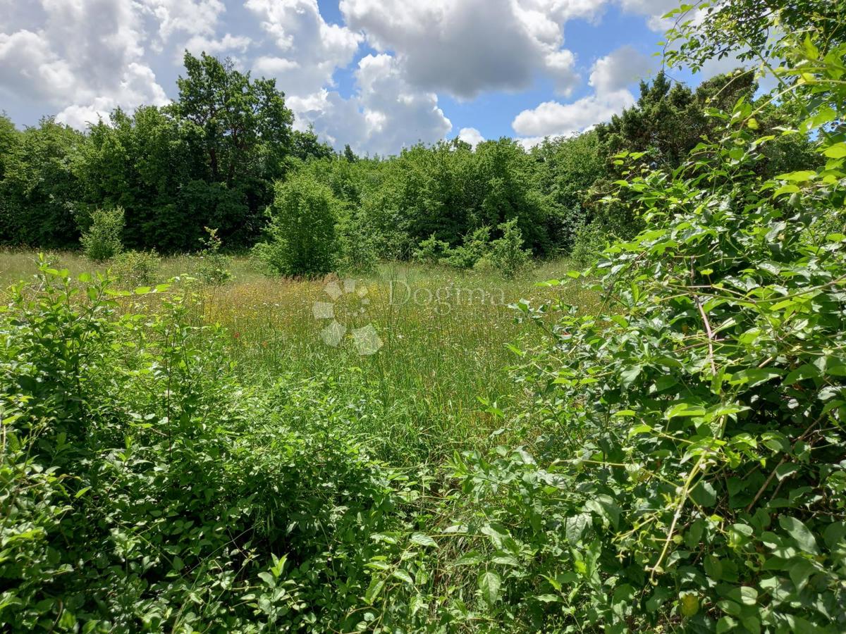 Istra, Krnica, kmetijsko zemljišče