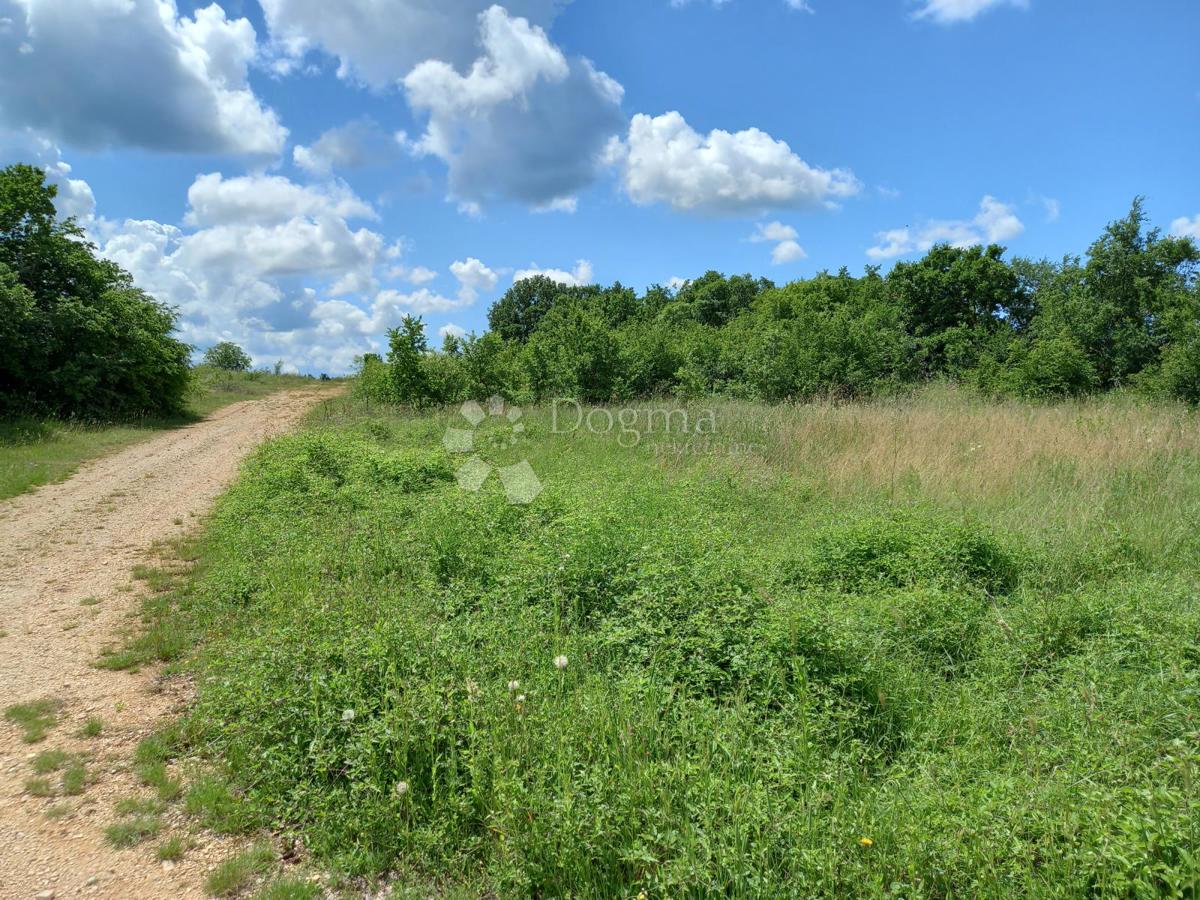 Istra, Krnica, kmetijsko zemljišče