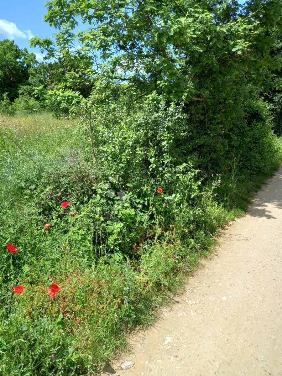 Istra, Krnica, kmetijsko zemljišče