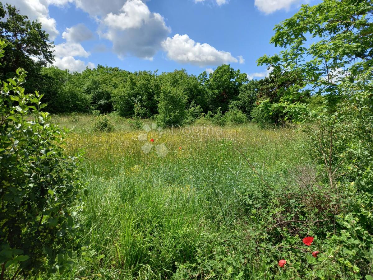 Istra, Krnica, kmetijsko zemljišče