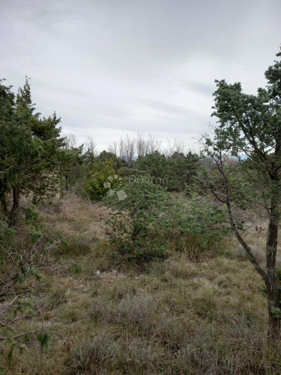 Zazidljivo zemljišče Vrsi, 4.337m2