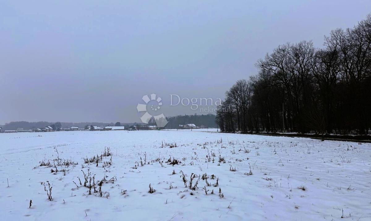 Hiša Okrugli Vrh, Sveti Juraj Na Bregu, 300m2