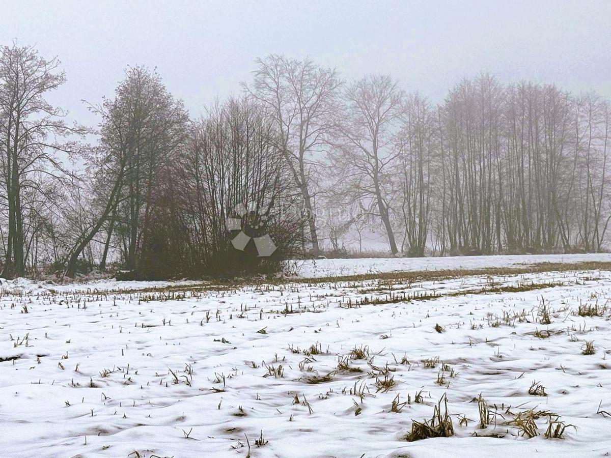 Zazidljivo zemljišče Belica, 1.491m2