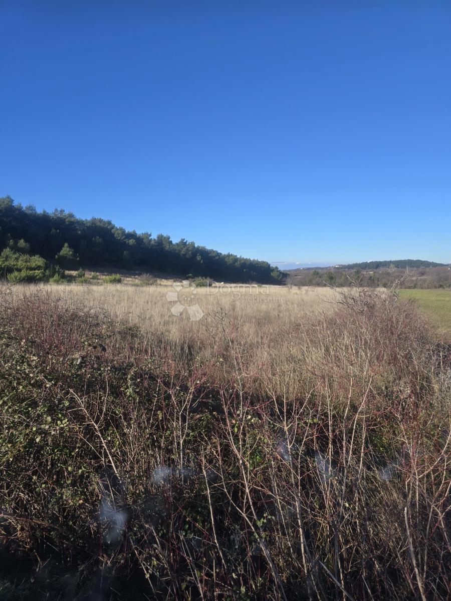 Kmetijsko zemljišče Benkovac, 7.065m2