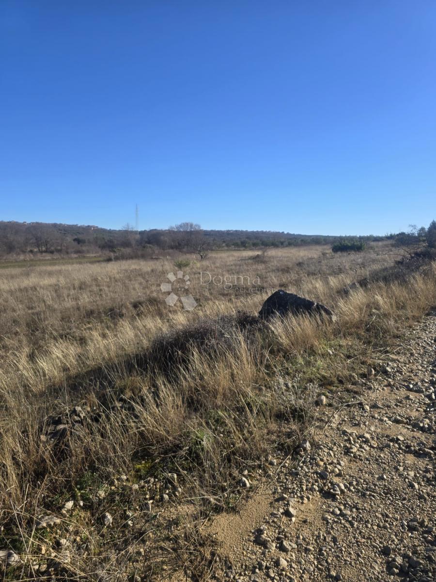 Kmetijsko zemljišče Benkovac, 7.065m2