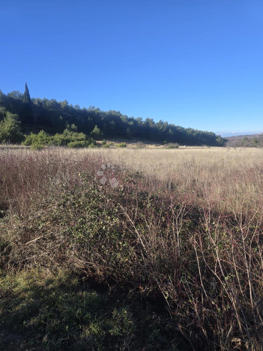 Kmetijsko zemljišče Benkovac, 7.065m2