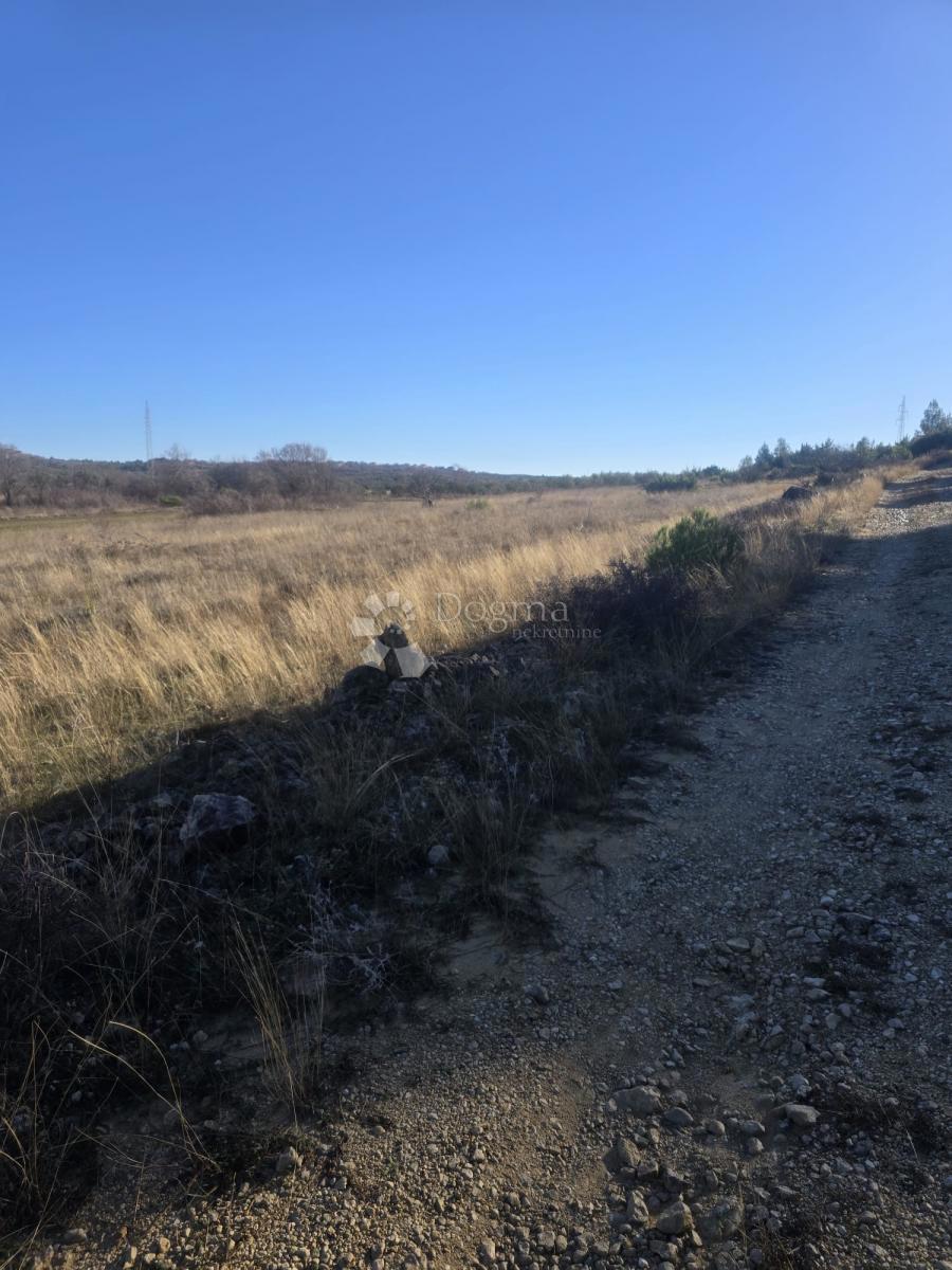 Kmetijsko zemljišče Benkovac, 7.065m2