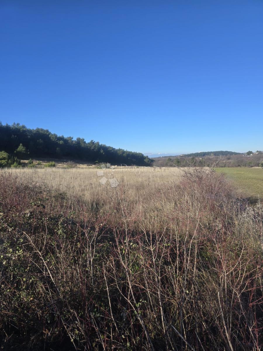 Kmetijsko zemljišče Benkovac, 7.065m2