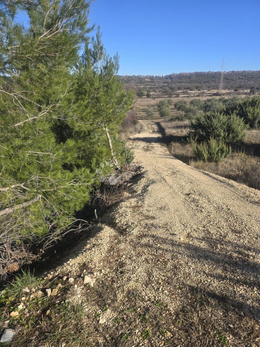 Kmetijsko zemljišče Benkovac, 7.065m2