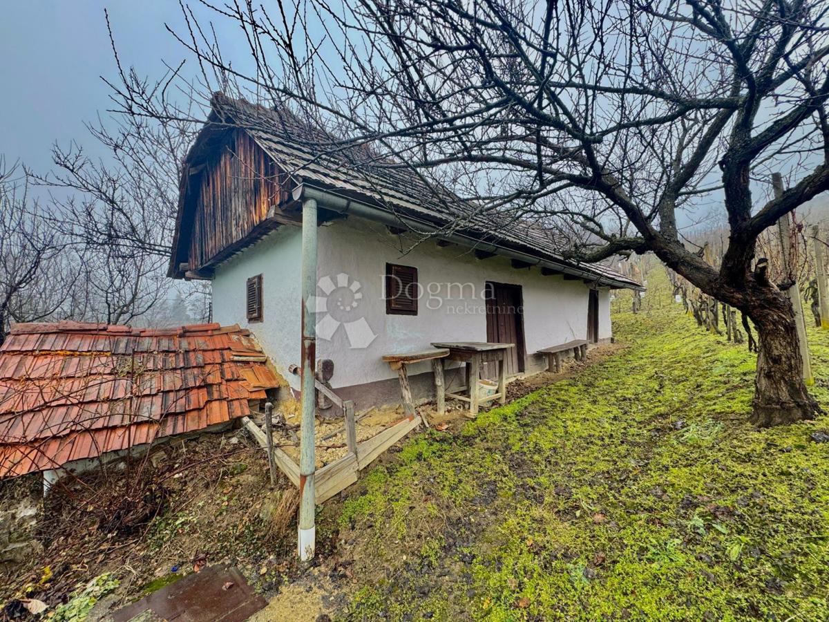 Hiša Natkrižovljan, Cestica, 10.106m2