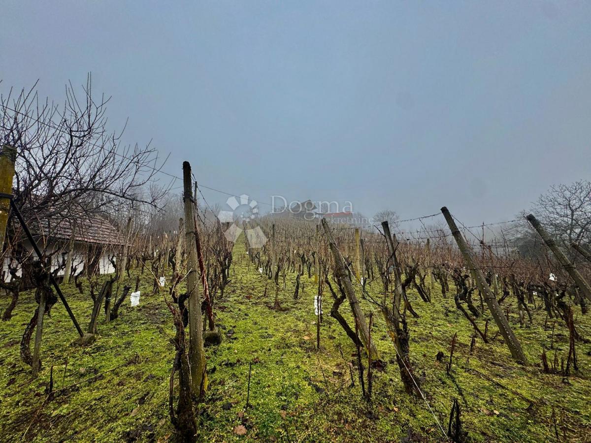 Hiša Natkrižovljan, Cestica, 10.106m2