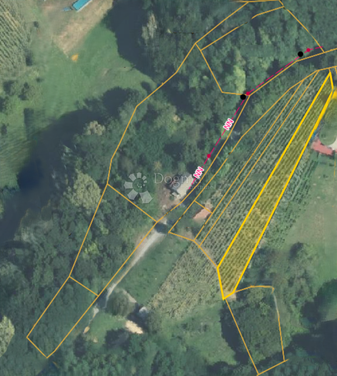 Hiša Natkrižovljan, Cestica, 10.106m2