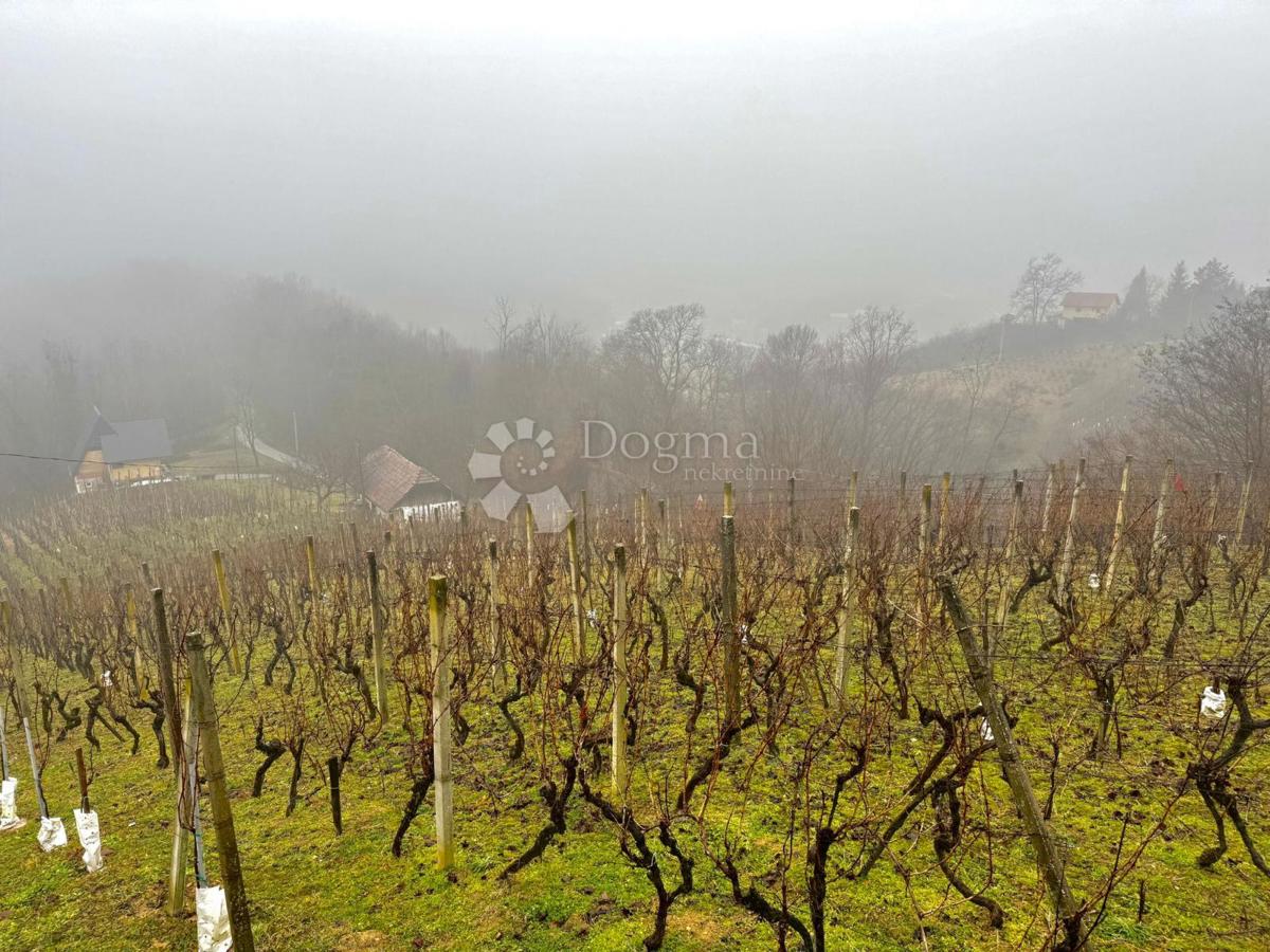 Hiša Natkrižovljan, Cestica, 10.106m2