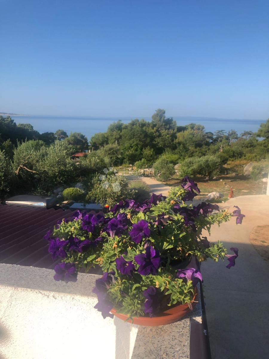 Hiša Kampor, Rab, 16.340m2