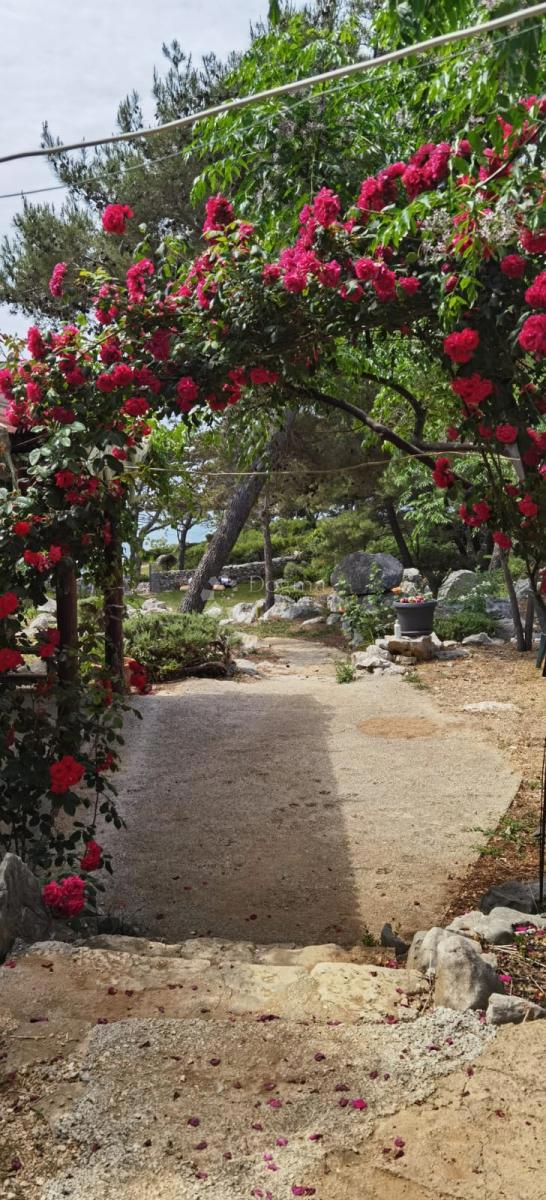 Hiša Kampor, Rab, 16.340m2